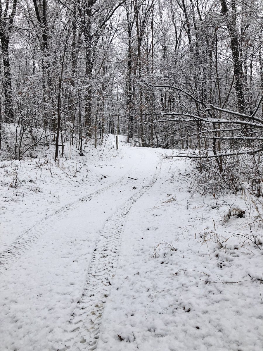 Jeanne and I went on a ranger ride today and got a few cool pics!