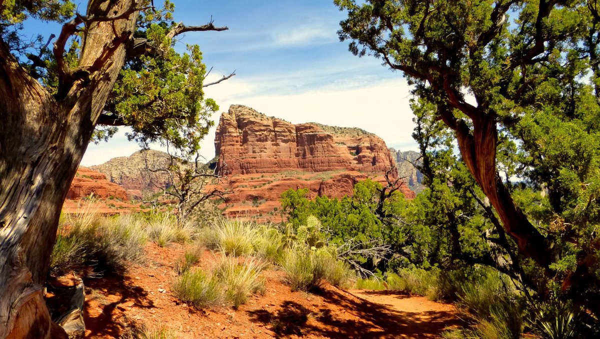 dirtybootdiva's tweet photo. 'The outdoors kept me sane': Why this Arizona man hiked 1,000 miles during the pandemic. https://t.co/utHvsK92PD I added hiking to traditional pharmaceuticals to help with my own mental health issues. Best move I ever made! #dirtybootdiva #getoutandgetdirty #hiking #mentalhealth https://t.co/jQUdm4SFig
