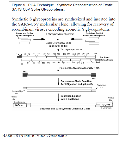 Consequently, knowledgeable experts can theoretically reconstruct full length synthetic genomes for any of the high priority virus pathogens, although technical concerns may limit the robustness of these approaches.