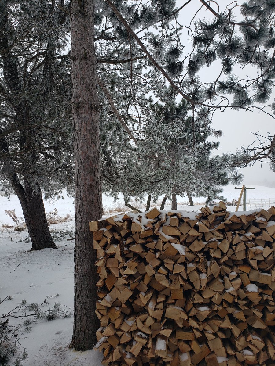 HogsbackHome's tweet image. The heavy fog yesterday/last night put a nice frost over the trees and made for some interesting looking snow. Winter doesn't seem so bad when things look like this.

#Frost #FrostCoveredTrees
#WinterInWisconsin #Winter
#HogsbackHomestead