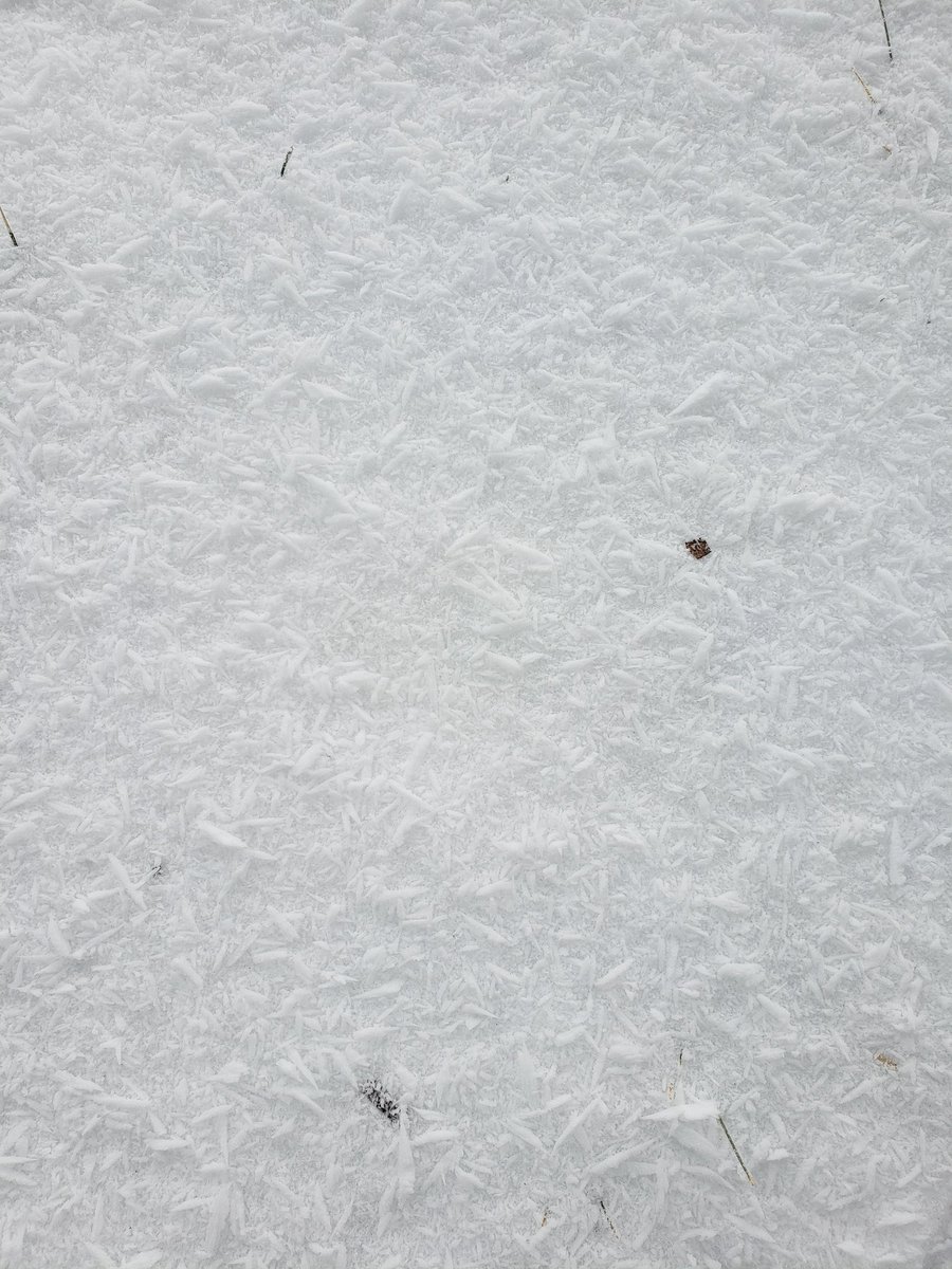 HogsbackHome's tweet image. The heavy fog yesterday/last night put a nice frost over the trees and made for some interesting looking snow. Winter doesn't seem so bad when things look like this.

#Frost #FrostCoveredTrees
#WinterInWisconsin #Winter
#HogsbackHomestead