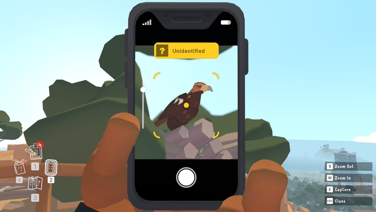 Scanning a new bird species in Alba: A Wildlife Adventure