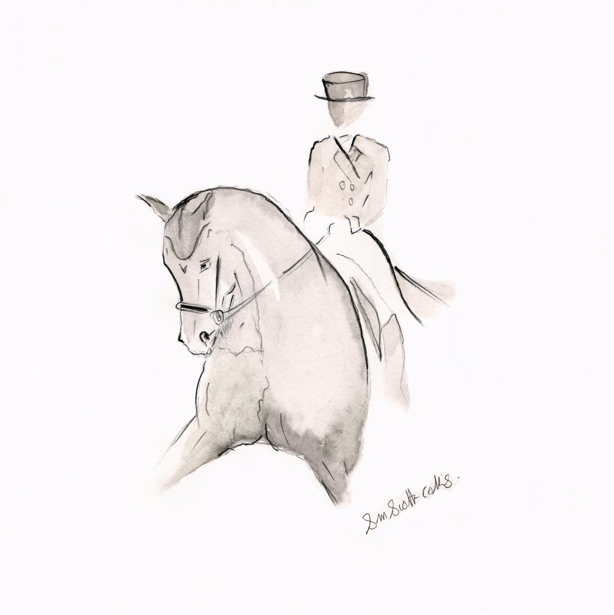 Sue Scott-collis tweet media