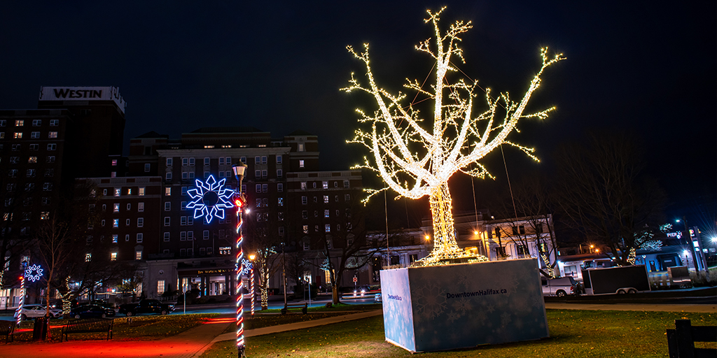 DowntownHalifax's tweet photo. Wander through Peace and Friendship Park and see the winter-themed decorations including the 26-foot tall tree. The lights are here to brighten your winter until the end of January. #winterlights #PeaceandFriendshipPark #halifaxlights #DowntownHalifax ๐ท @StooMetz https://t.co/Py5mT1Yo59