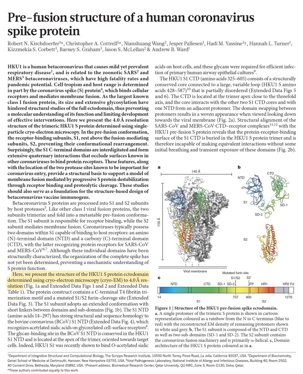 3. That was by X-ray crystallography which didn't enable visualization of the spike (S) protein of coronaviruses until this  @nature publication by  @WardLab1  @McLellan_Lab  @KizzyPhD and colleagues in 2016 via cryo-EM  https://www.nature.com/articles/nature17200