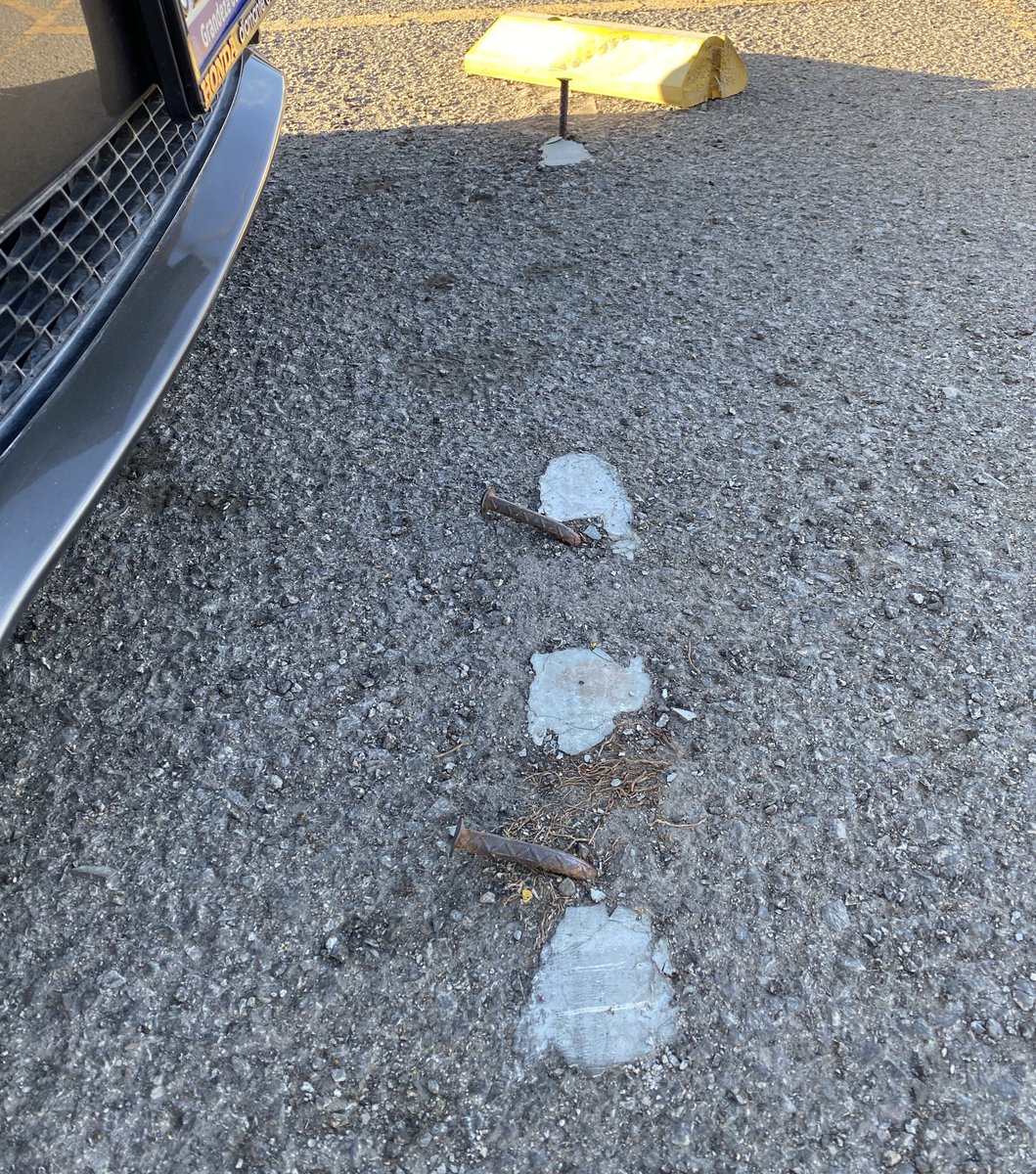 Grecia Bárcena tweet media