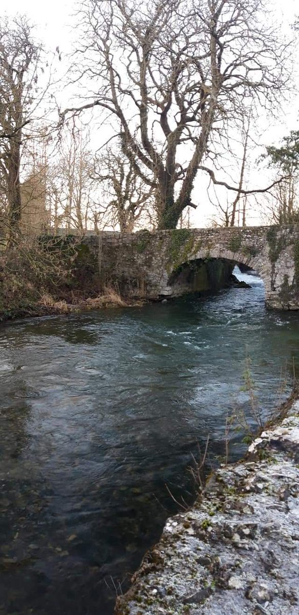 Freshford Tidy Towns tweet media
