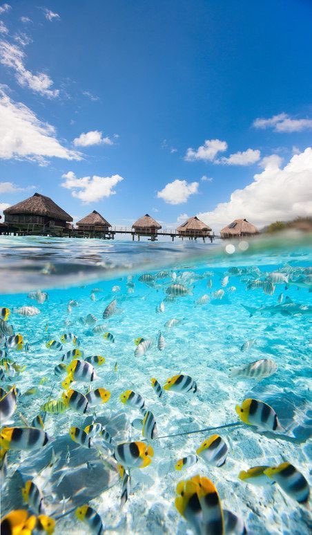 EscapadeBy dolce_picante- smut- strangers to lovers- fake relationship to real relationship - lhh- businessman Louis- vacation - ziallympics was something - loved it9/10 https://archiveofourown.org/works/4034197/chapters/9071932