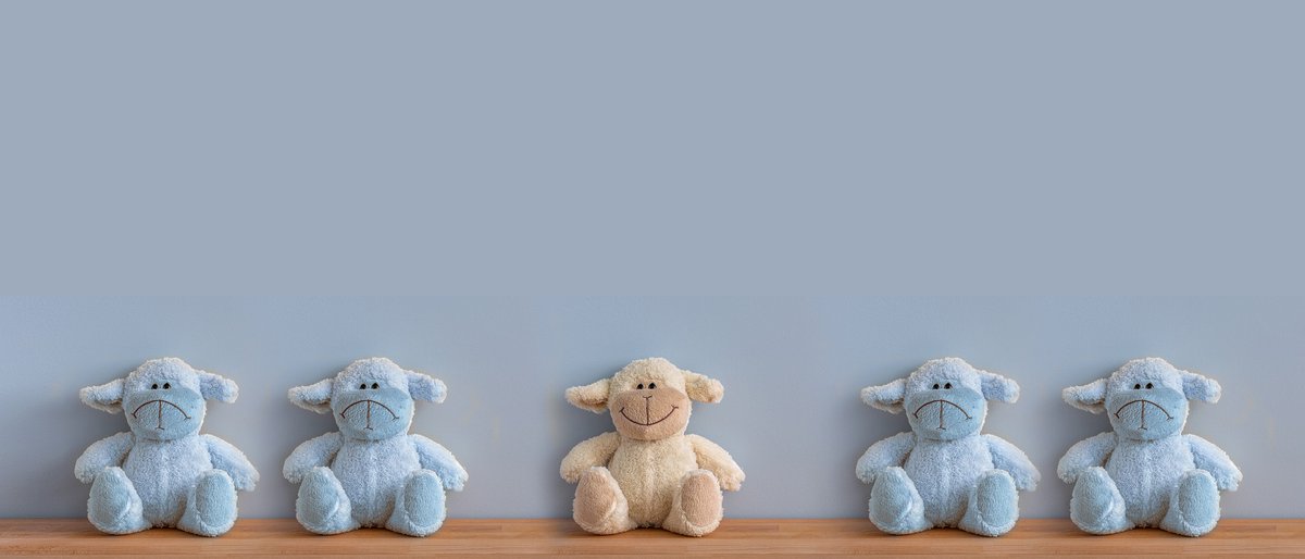 Jon Maxim tweet media