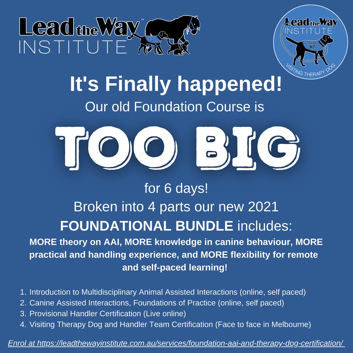 LeadTheWayAust's tweet image. Enrolments are now live and open for #leadthewayinstitute new #therapydog and handler #certification #courses! Find out more ecs.page.link/NFyYG