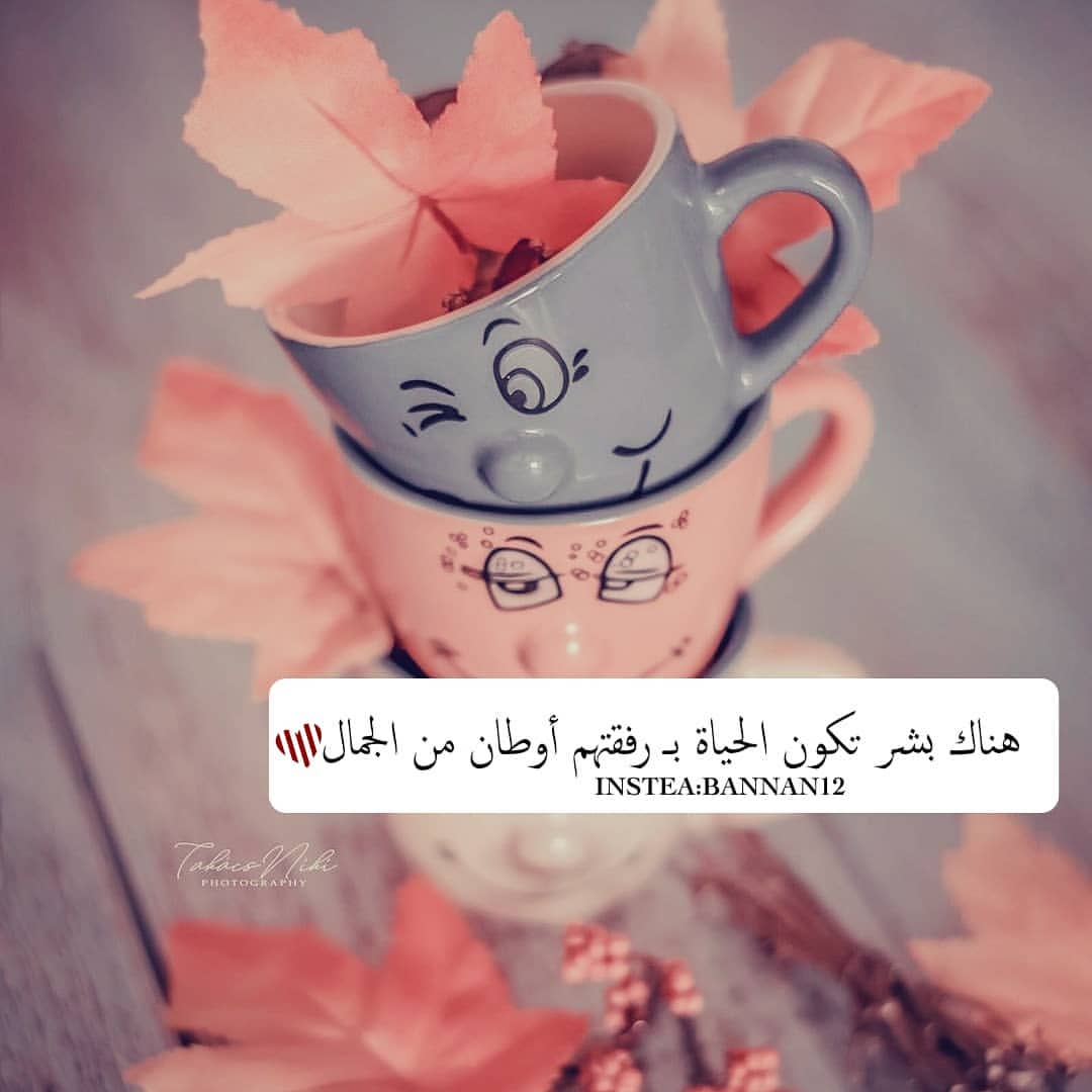 88___ms's tweet photo. #ايش_اكثر_شي_يسعدكم_فهالدنيا
تذهب اش��َاء جميلة 
ويعوّضنا الله بِ اجمل منها
 ف َلك الحمد يا الله دائما وأبدًا ! https://t.co/5SqOxtGGiI