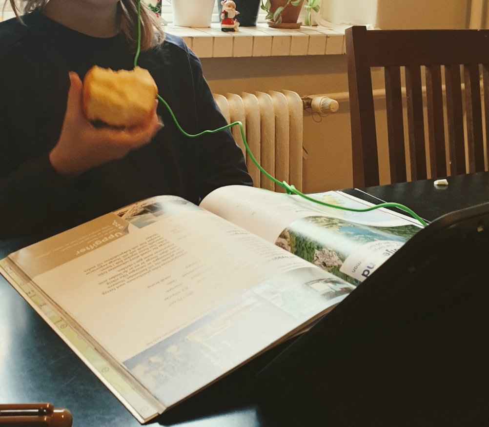 Turku moved schools to distance learning in mid-Dec from grades 4 (10-year-olds) up. My kid's class followed their normal schedule but online. When it was PE, they sent the kids for a jog outside. One task was to make a Christmas decoration out of twigs. It worked great for us.