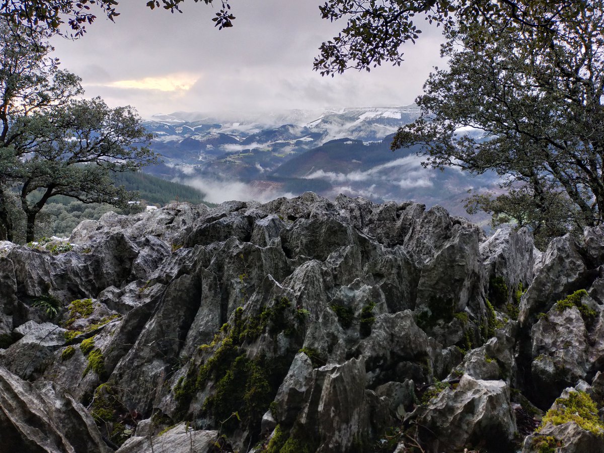 Arratia Dimako Ilunbetik 
#domeketakopaseoak 
#herrizoragarria
#lagunartean