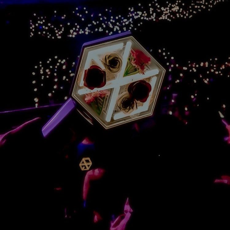Iuvsmerights's tweet photo. 🔦 ERIBONG GIVEAWAY ♡

- worldwide
- 2 winners
- 18+ or have permission to give out address

• rt &amp; like!
• mbf me:~) 
• ends jan 07 ! 

reply w cute pics of ur bias <3 https://t.co/AYoUwaOfvm