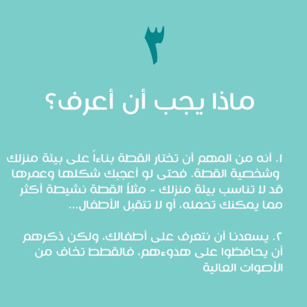 Open Paws tweet media