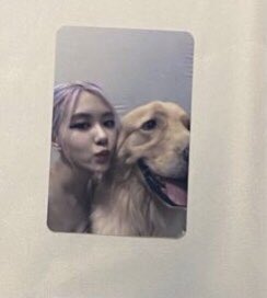 Maddy (@maddysgo_s) on Twitter photo Şu anda 2 tane bu pcden var açıkta ve her şey dahil 65tl
Ödeme yarın yapılacak ciddi alıcılar yazarsa iyi olur
<a href="/kpoppcsatis/">K-Pop Photocard Satış🇹🇷</a> <a href="/pctradetr/">PC SATIŞ & TAKAS TR</a> <a href="/peacrry/">Kpop Satış / Takas</a> <a href="/BlackpinkSat/">Blackpink Satış~Takas</a> Şu anda 2 tane bu pcden var açıkta ve her şey dahil 65tl
Ödeme yarın yapılacak ciddi alıcılar yazarsa iyi olur
<a href="/kpoppcsatis/">K-Pop Photocard Satış🇹🇷</a> <a href="/pctradetr/">PC SATIŞ & TAKAS TR</a> <a href="/peacrry/">Kpop Satış / Takas</a> <a href="/BlackpinkSat/">Blackpink Satış~Takas</a>
