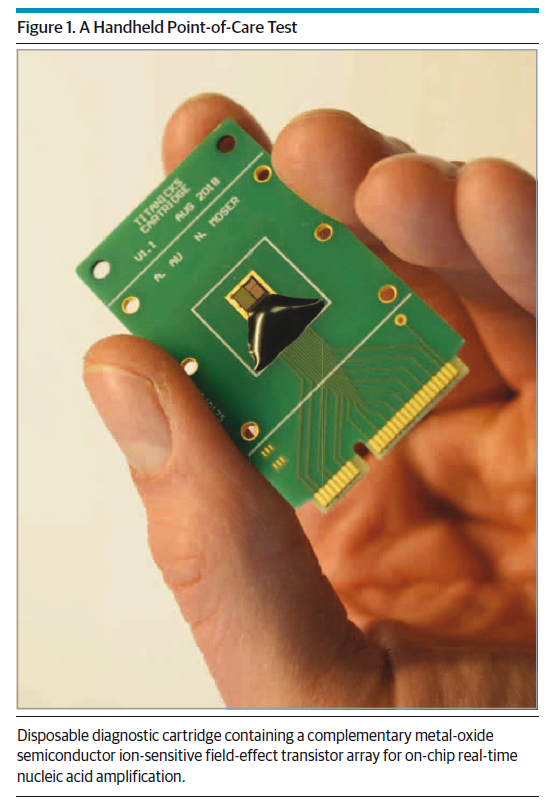 Myrsini Kaforou tweet media