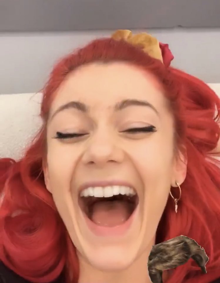 (12) there’s so much more but finally they’re both iconic and hilarious and i feel like they would get on so well