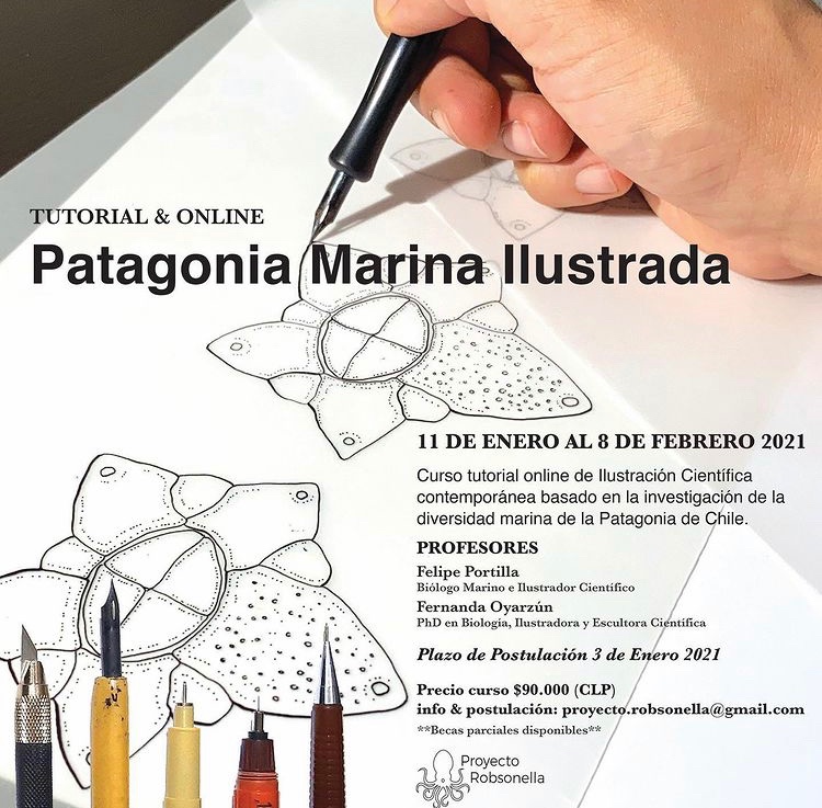 oyarzun_fern's tweet photo. Último día para postular al curso tutorial online de Ilustración científica marina de #proyectorobsonella!!! #patagoniamarina #ilustracioncientifica #cienciasdelmar #biodiversidadmarina https://t.co/OFfeJB19KI