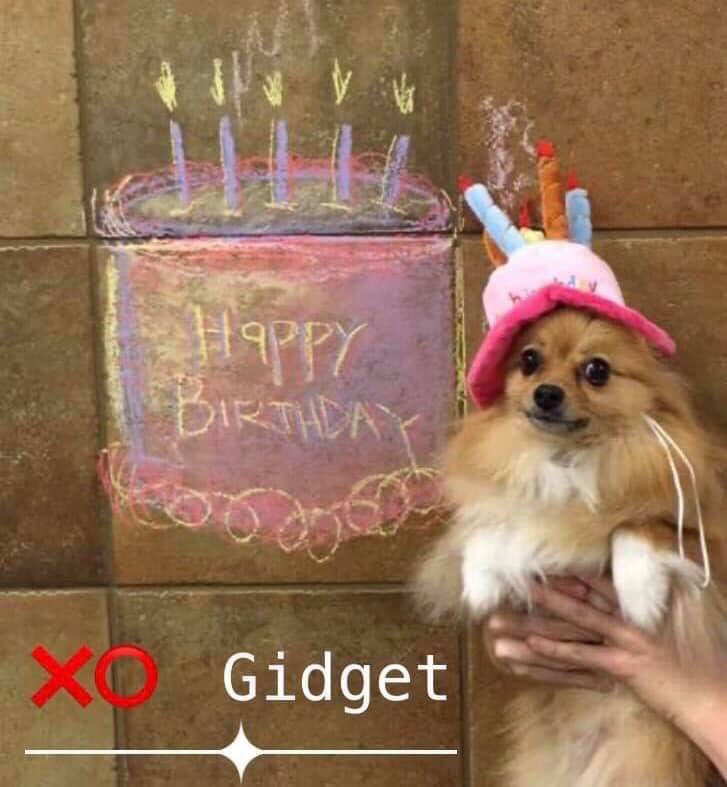  Happy Early Birthday, January Jones   