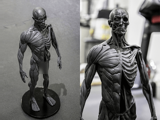 Modelinghappy アナトミーフィギュアを3dプリンターを使って自分で作れるstlデータが無料配布中 T Co Klfat4qo8d Modelinghappy アナトミーフィギュアを3dプリンターを使って自分で作れるstlデータが無料配布中 T Co Klfat4qo8d