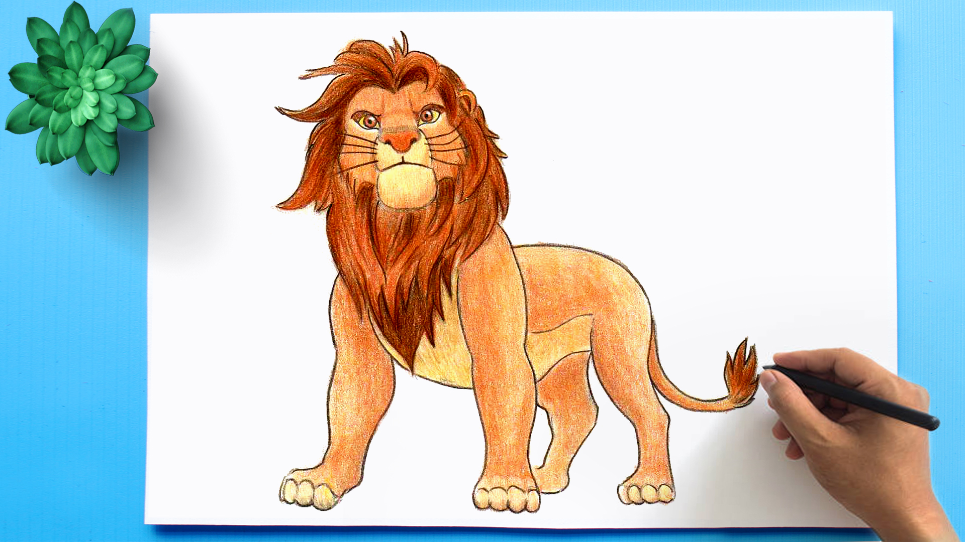 Step by Step drawing a Lion