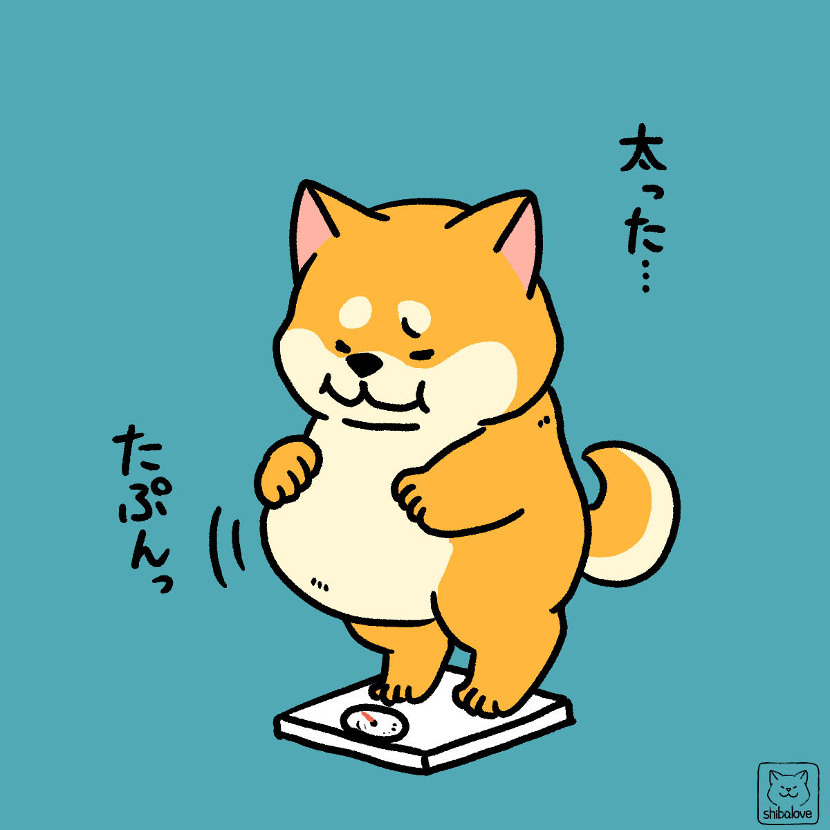 Twitter 上的 しばらぶ ヨツバヒトミ ダイエット 柴犬 イラスト 4コマ 4コマ漫画 ダイエット ダイエット失敗 正月太り T Co Ogrcxzl6dq Twitter