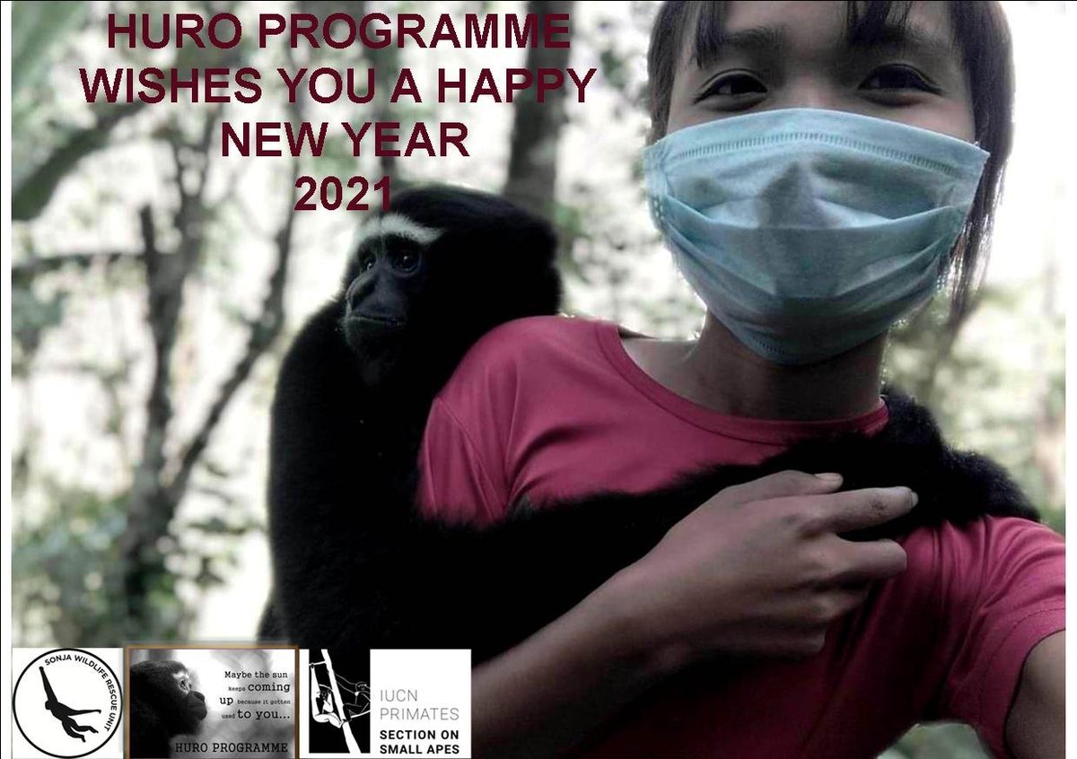 HURO Programme tweet media