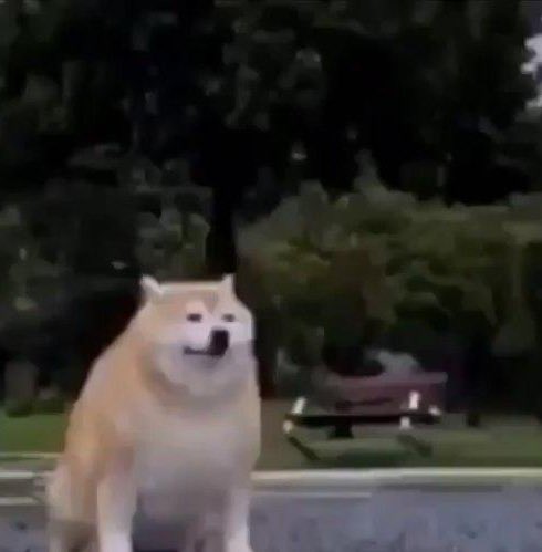 i look like this