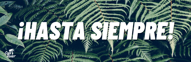 Revista Cool Ruler 🤲🏼🧼 tweet media