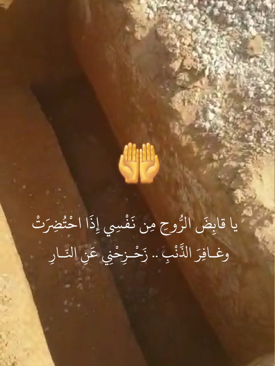 محمد العجلان tweet media