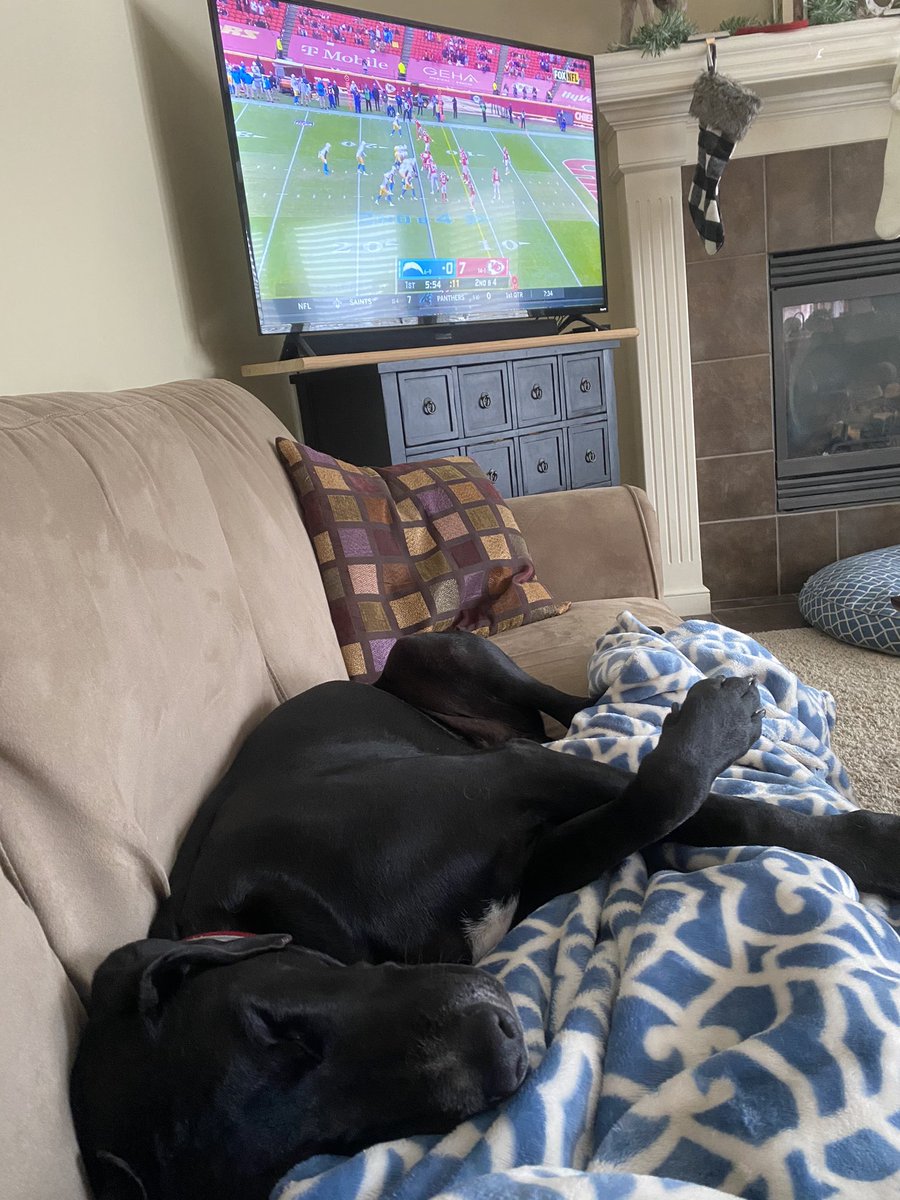 Jayhawk96's tweet photo. I had a napping contest with Astro. He’s winning. #MiloAndAstroKC https://t.co/6wSsHVpAej