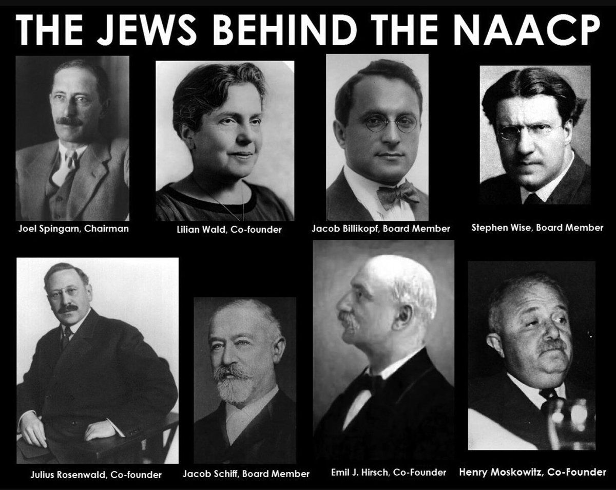 22. Addendum 2"The J*ws behind the NAACP"