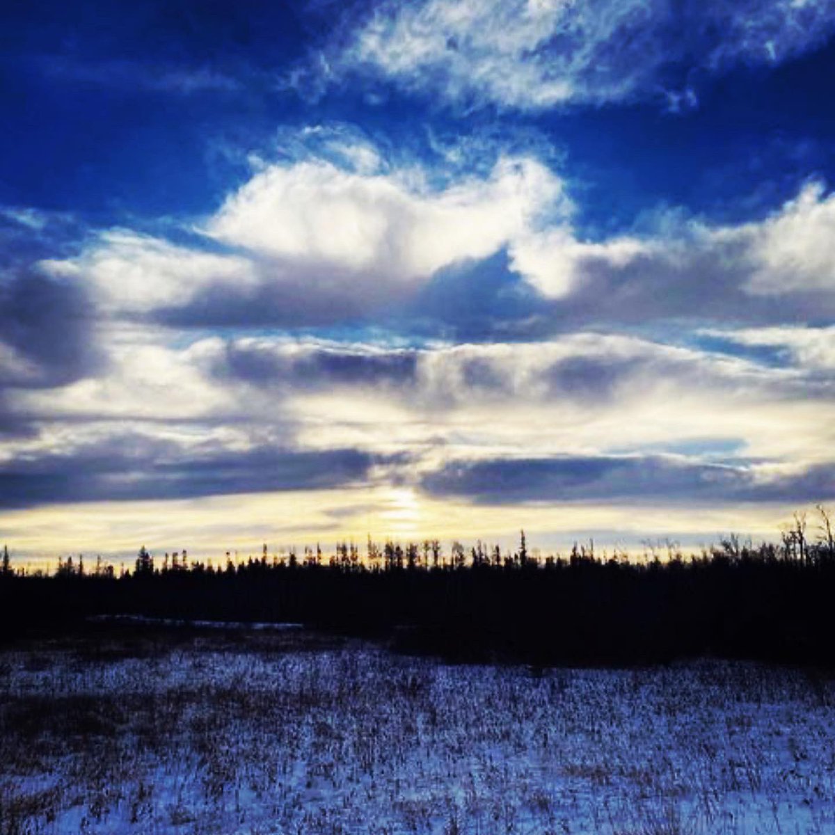 Three beautiful January days in a row = 15 Km’s of walking/hiking! #hikemanitoba #birdshillprovincialpark #sagecreek