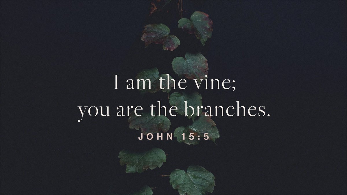 When we stay connected to Jesus, we produce good fruit!
