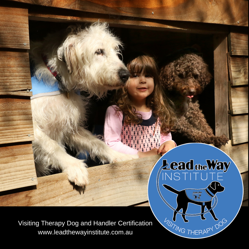 LeadTheWayAust's tweet image. VACANCIES AVAILABLE Jan 18-23 2021!! Enrol now and #certify as a #therapydog and handler team with #leadthewayinstitute. Bundle price HUGE DISCOUNTS available here: Visiting Therapy Dog &amp;amp; Handler Certification Bundle - Foundation - Lead The Way Institute ecs.page.link/Y6Pqr