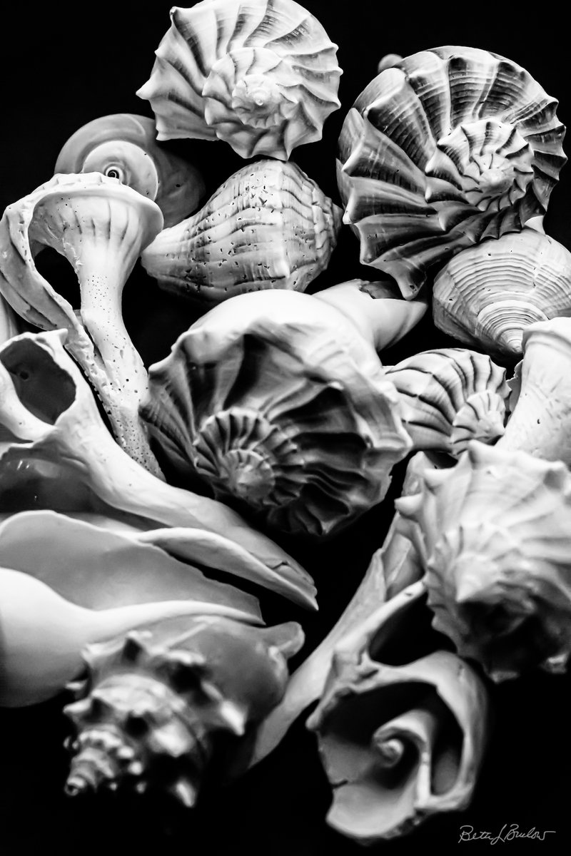 Beth Buelow, PCC tweet media