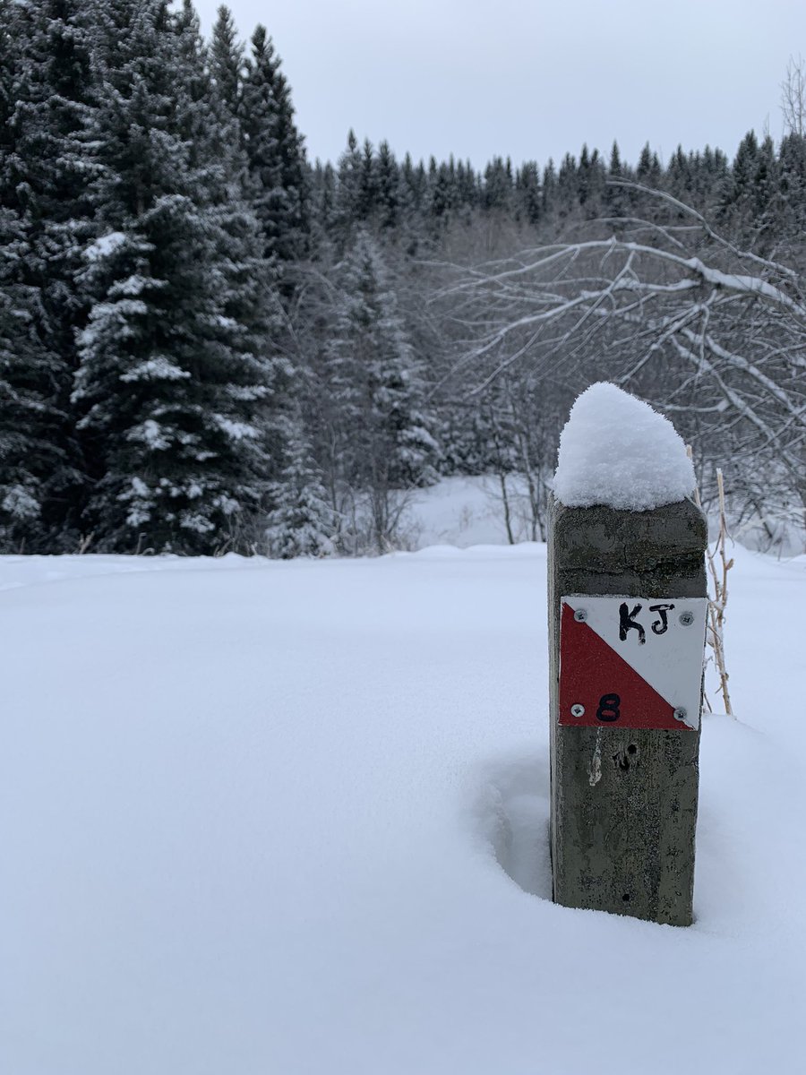 tcdixon3's tweet photo. Spent a couple days over the break reconing the orienteering course in Fish Creek Park for an upcoming Outdoor Ed field trip. Things are slow (but fun) when you’re working with triplets and a toddler!

#OutdoorEd #ABparks #WeAreCBE #Orienteering #ABparksAmbassador #ABed https://t.co/UFNRxUrjIG