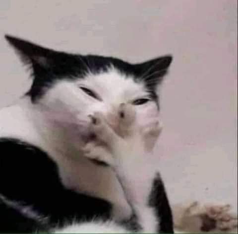 AiletMin's tweet photo. Creo que mi cuenta será sobre dar información sobre Bangtan, tipo votaciones, noticias etc, ¿Que dicen? No me dejen en flop https://t.co/y6w6Re5yTo