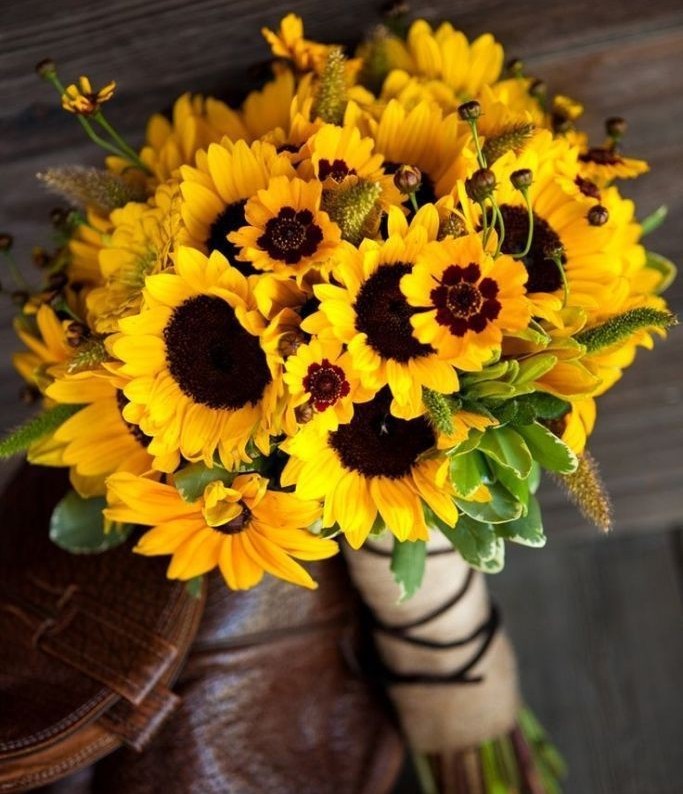 gitforyou's tweet image. ➳ De: gatinho
➳ Para: @pxlaroidz 

➳ agora por favor eu preciso te ver usando isso !