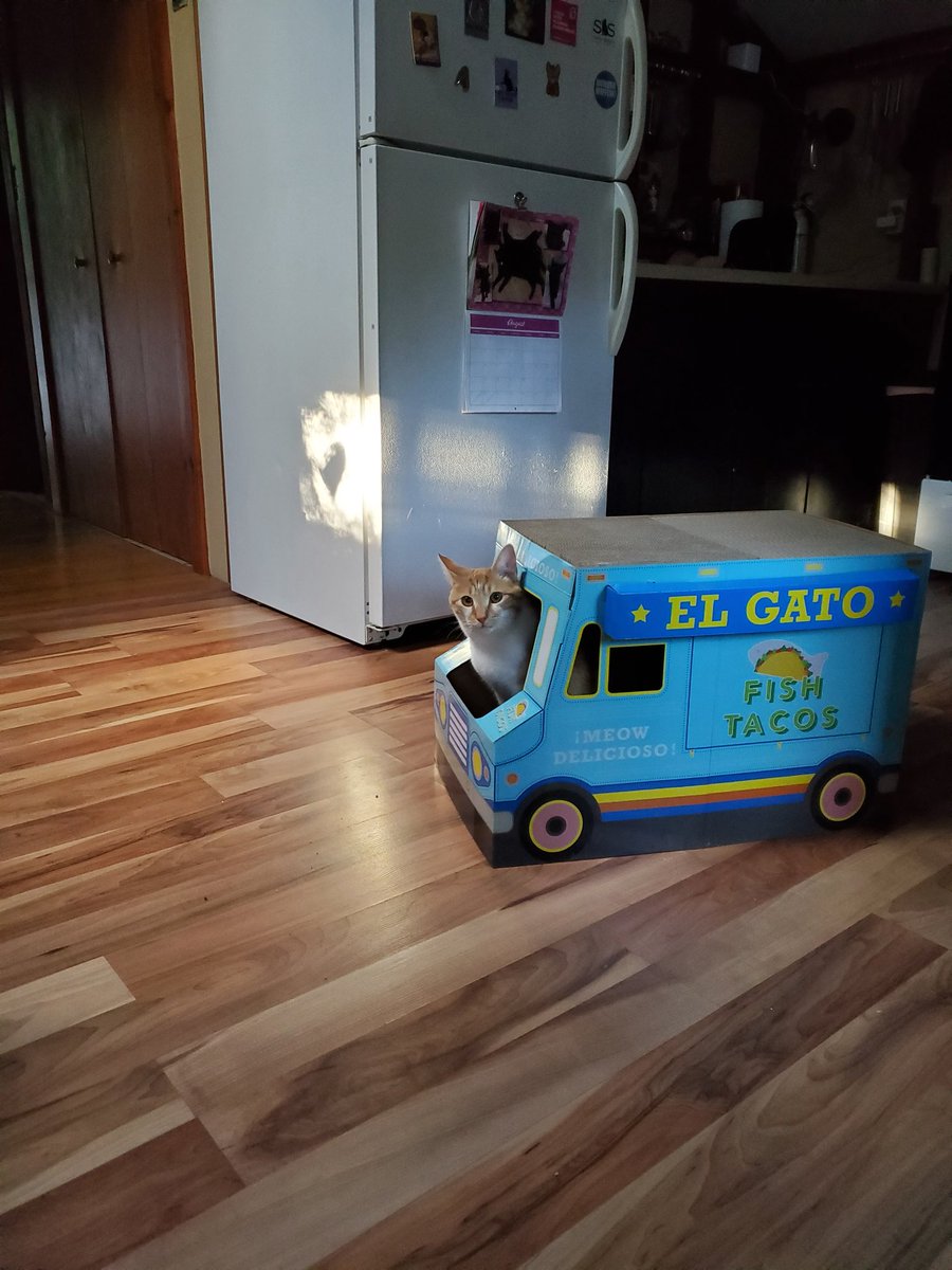 The day he got his driver's license