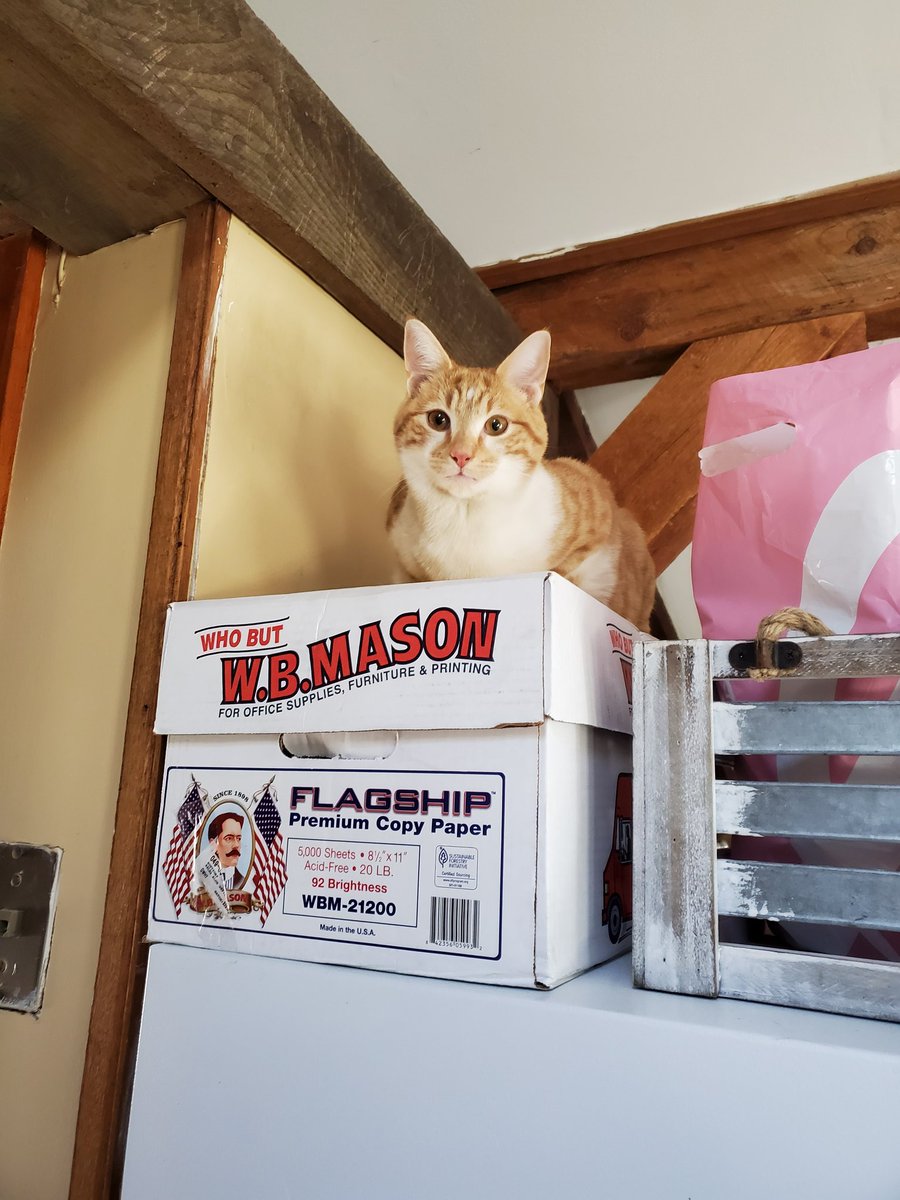 His favorite place to sit