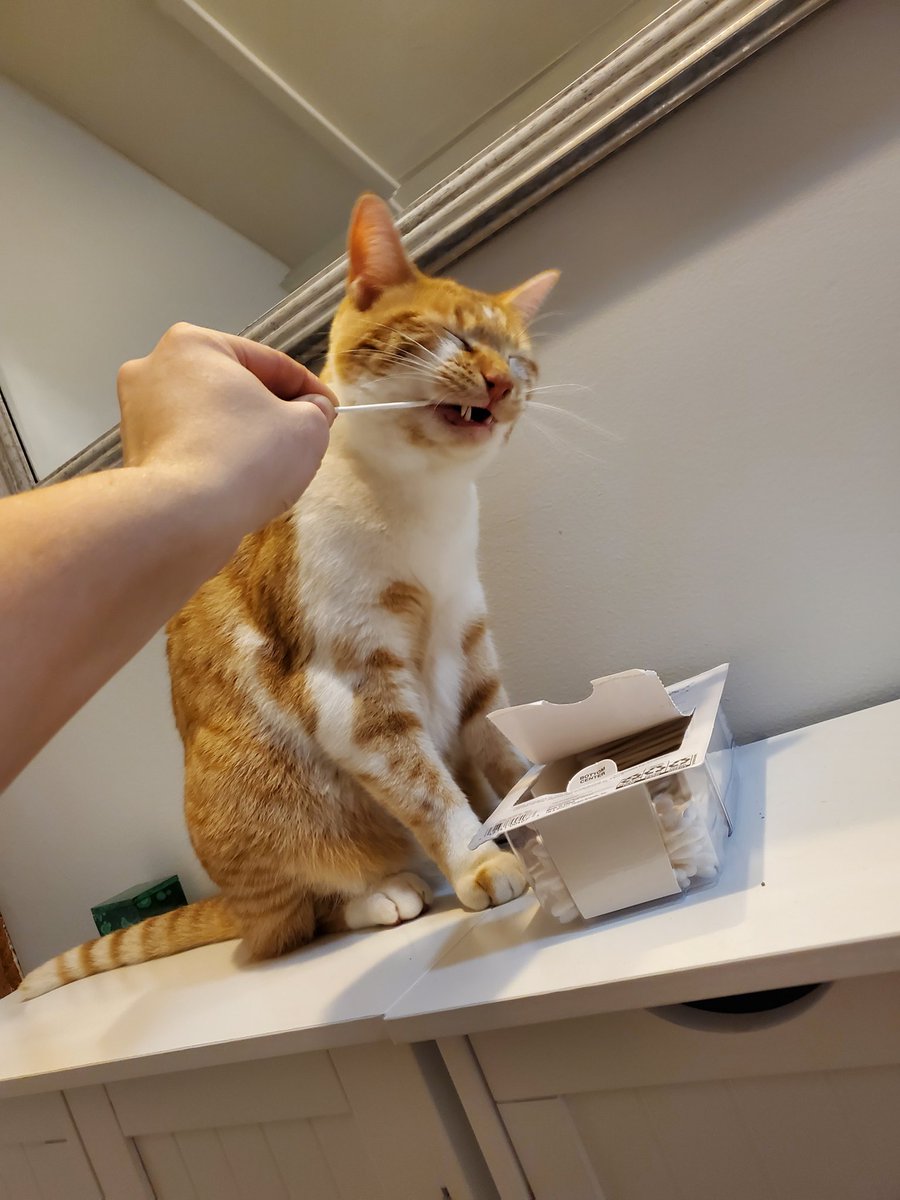 And finally, the most recent pic... Me taking a q-tip out of his mouth for the 50th time