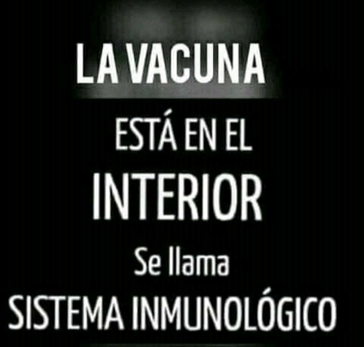 monokar11's tweet photo. @evymjf @Carlosp00947688 https://t.co/24hrHgQyYI
