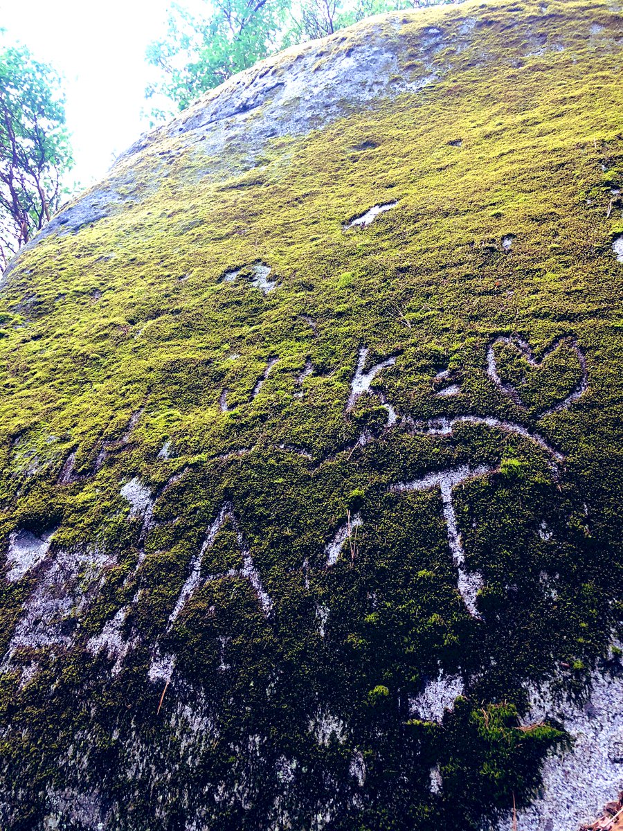 RRSNF's tweet photo. Vandalism comes in many forms on public lands. Etching your devotion to each other in mosses & lichens is graffiti, period. While we’re happy you’ve found each other, we’d rather not read the announcement as we venture through our fave spaces. #LNT #WonderTrail https://t.co/PFLyFnPX7q
