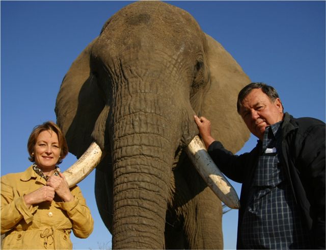 4. Adventures with Elephants is owned by the Hensman family. Until 2002 they ran a farming operation in Zimbabwe using elephants until they were kicked out by Robert Mugabe. They moved everything to South Africa where they engage in the abuse and exploitation of elephants today.