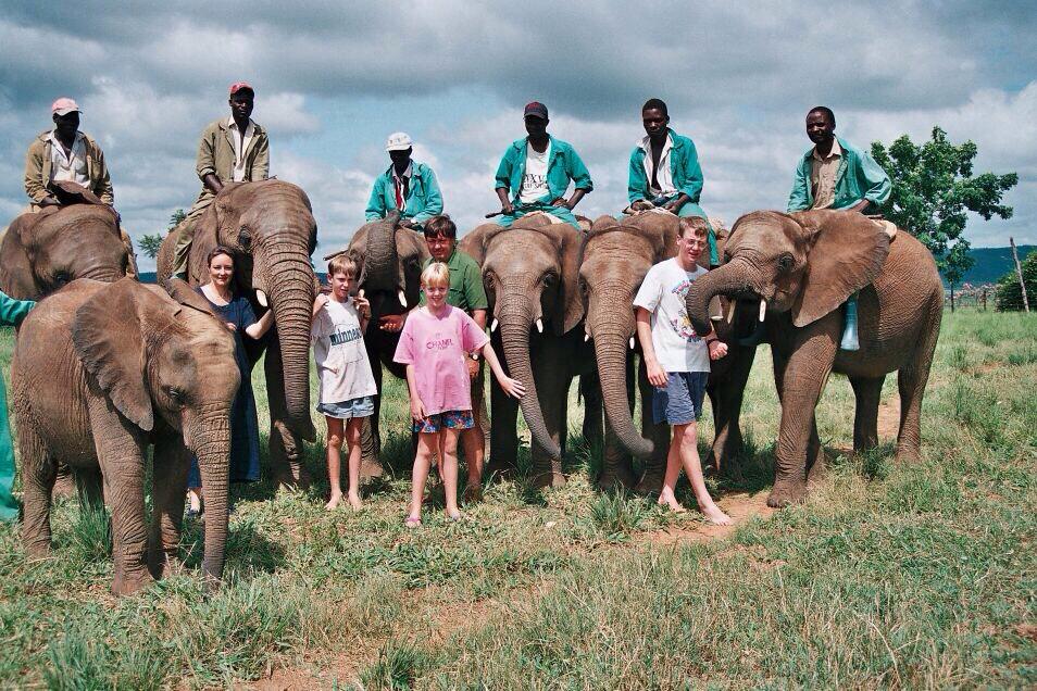 4. Adventures with Elephants is owned by the Hensman family. Until 2002 they ran a farming operation in Zimbabwe using elephants until they were kicked out by Robert Mugabe. They moved everything to South Africa where they engage in the abuse and exploitation of elephants today.