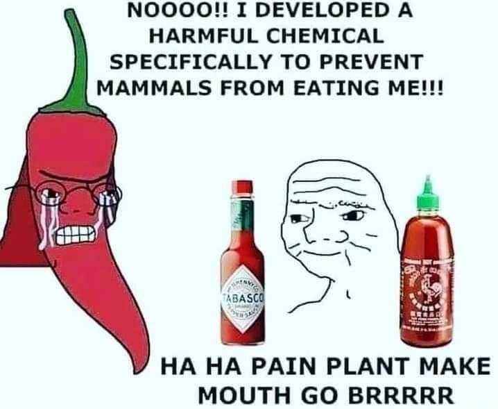 myunclesmemes's tweet image. Muy Caliente