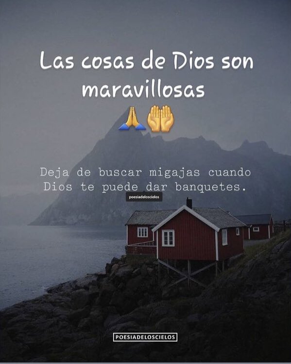 angie donado vanegas tweet media