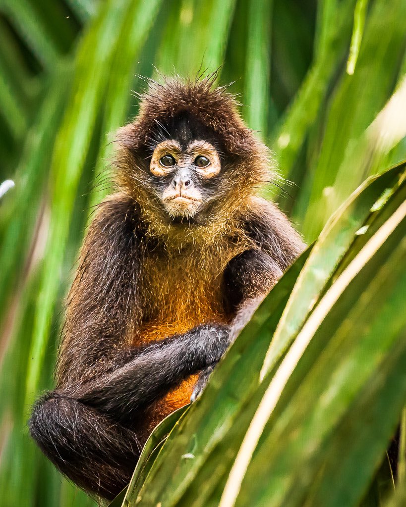 Day 4 shoot in Costa Rica, check out photos on Instagram and FB.